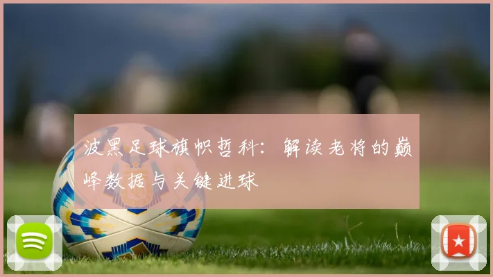 波黑足球旗帜哲科：解读老将的巅峰数据与关键进球