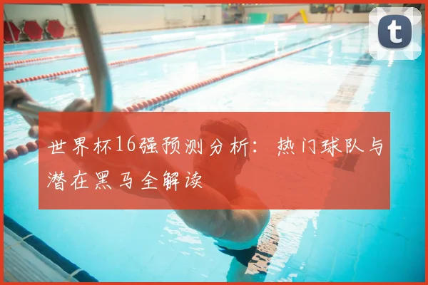 世界杯16强预测分析：热门球队与潜在黑马全解读